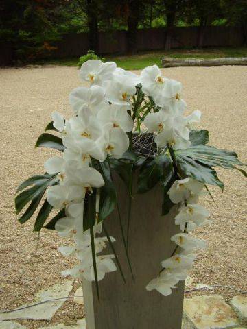 Fleurs