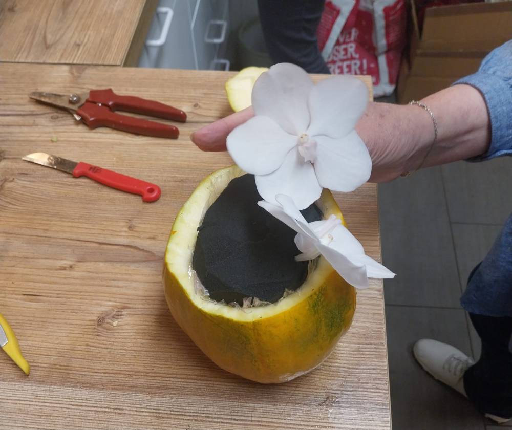 Atelier Halloween (1)