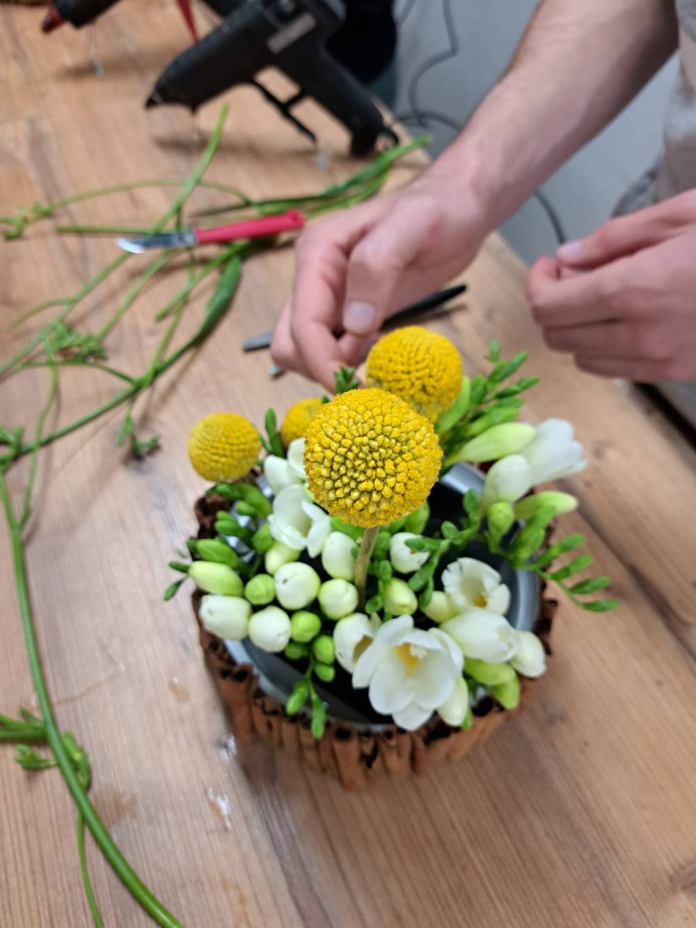 Atelier craspedia (3)